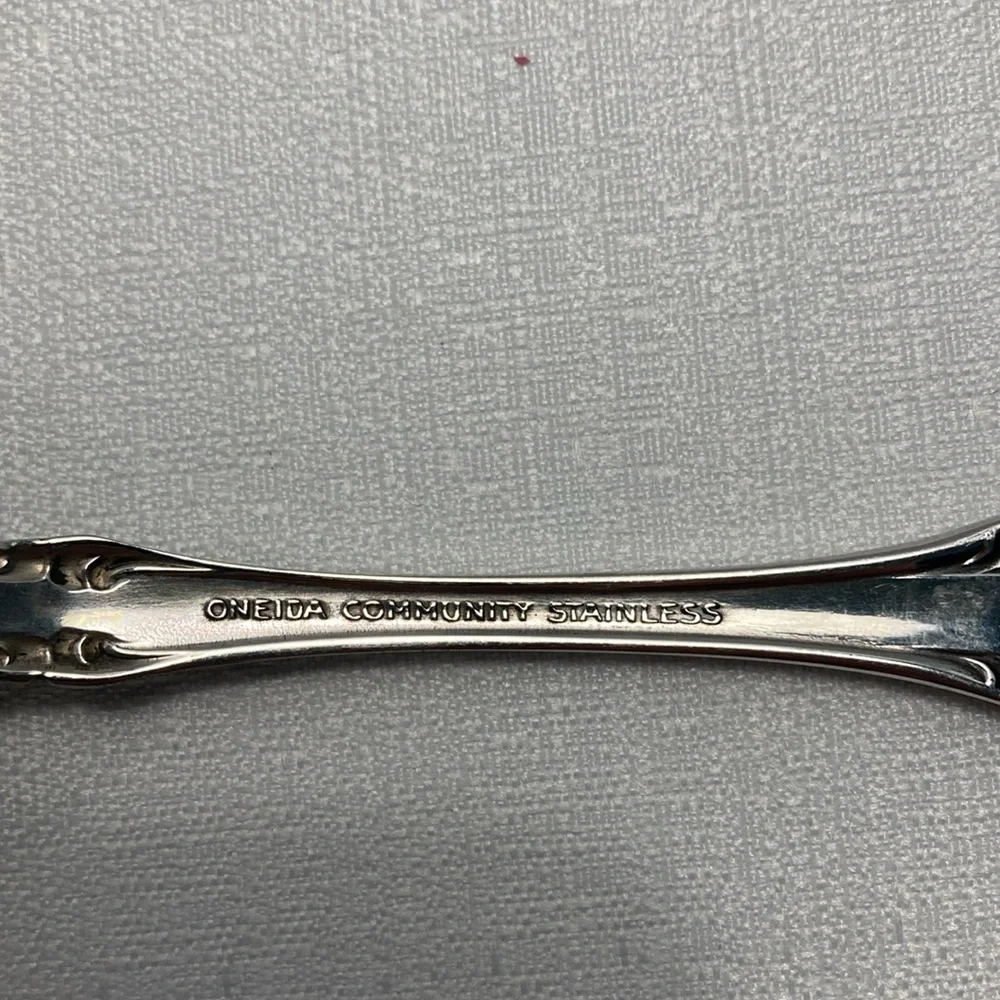 Oneida Community BRAHMS Stainless‎ Glossy Rose Flatware Teaspoon